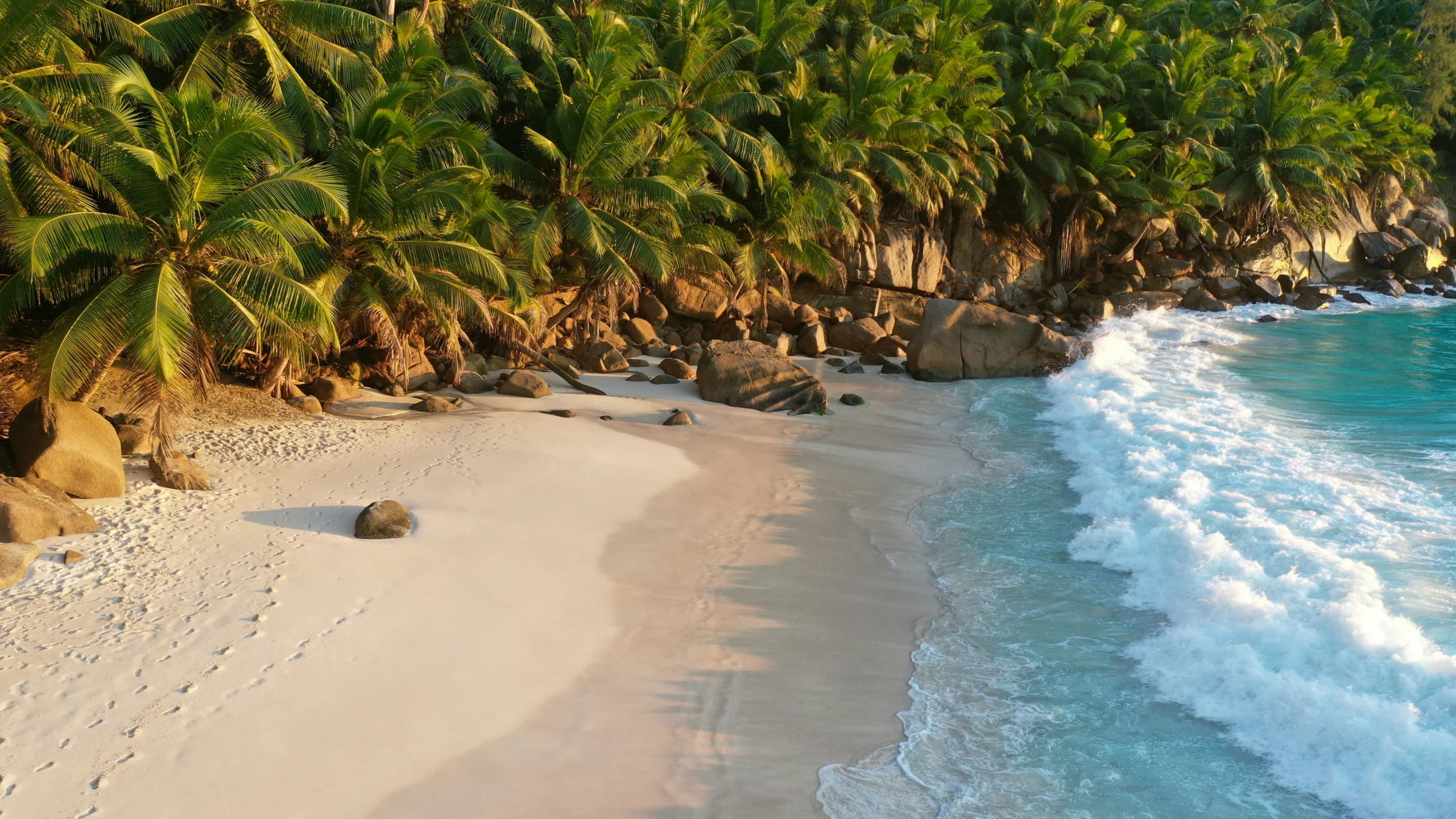 Granite-fringed beach in Seychelles