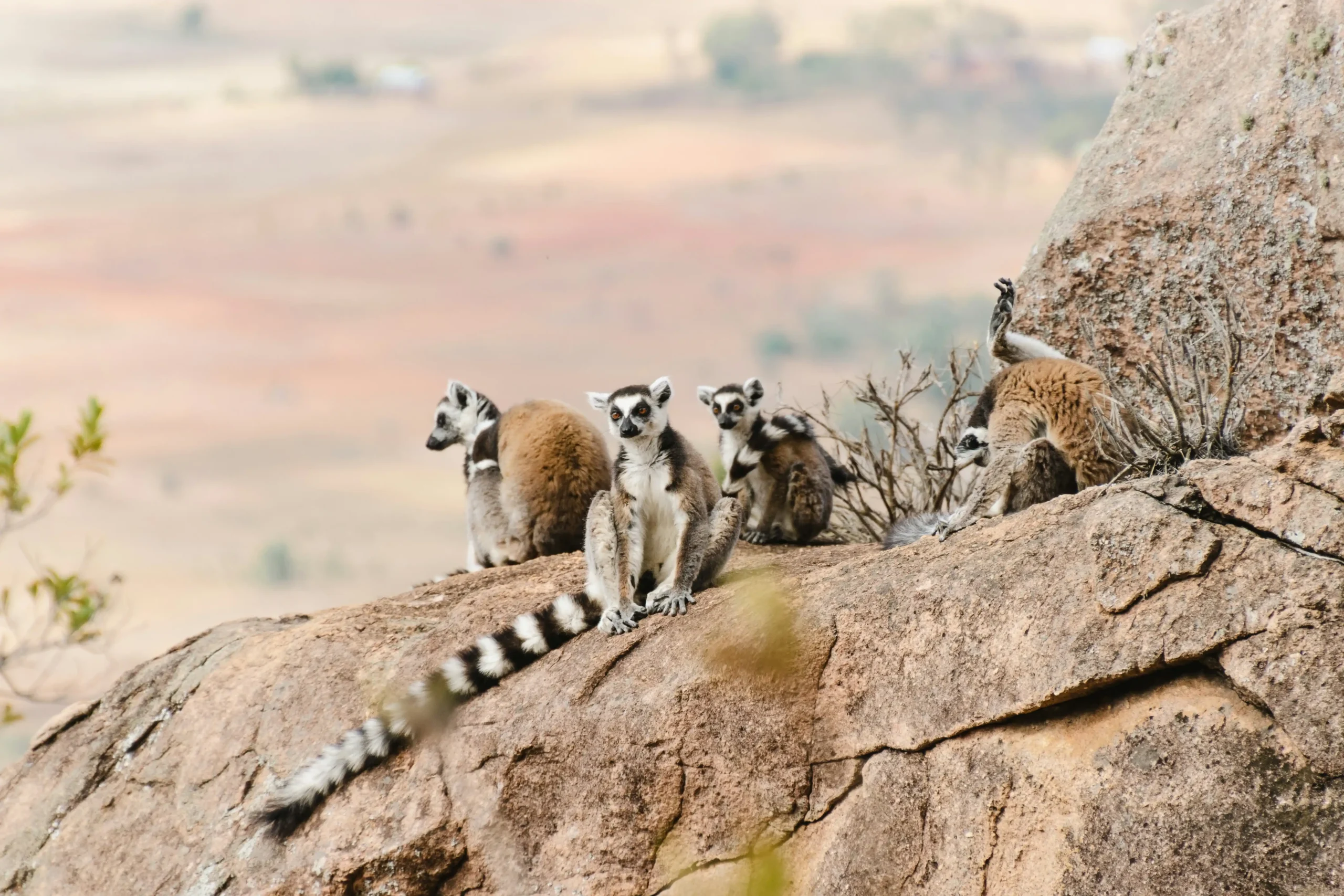 Madagascar coast
