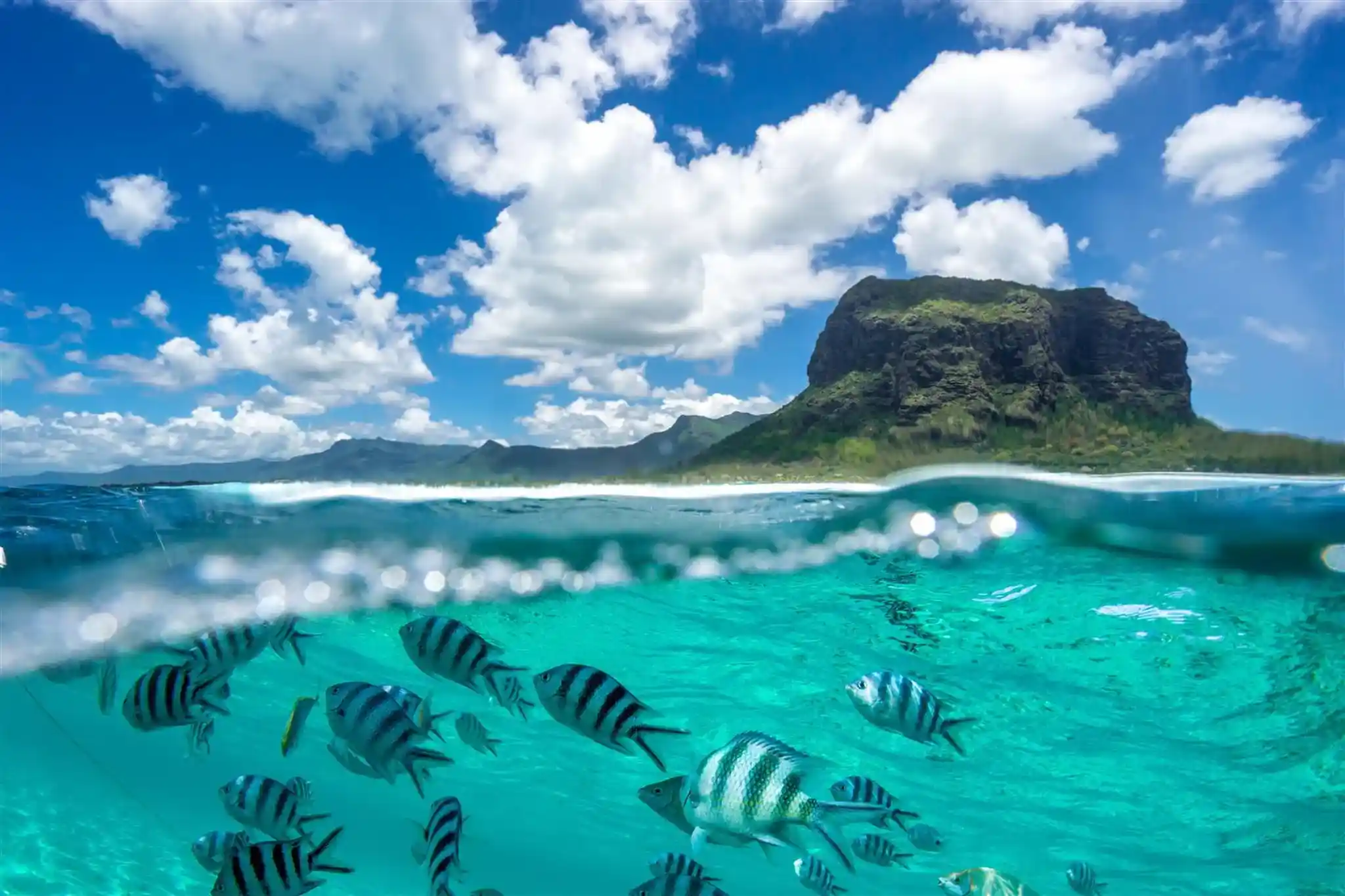 Indian Ocean