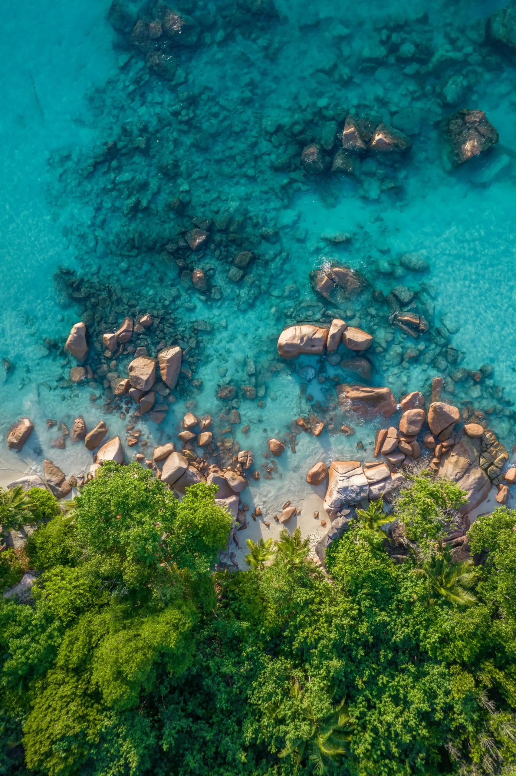 Seychelles coastline
